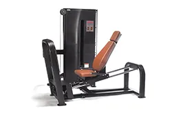 シーテッドレッグプレス